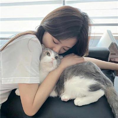 大毛狗
