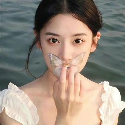 高山流水觅知音